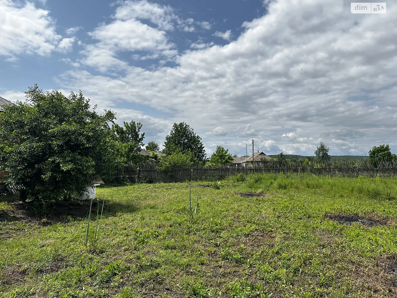 Продается земельный участок 41.64 соток в Винницкой области, цена: 145000 $ - фото 1
