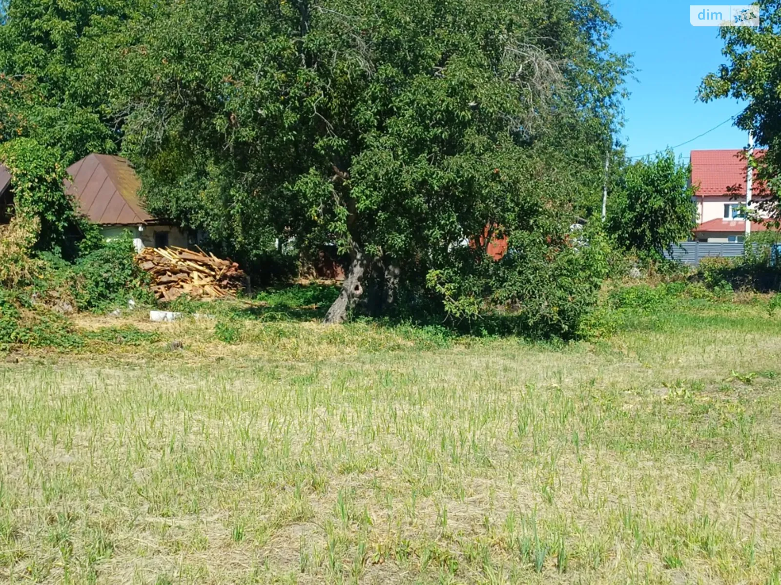 Продается земельный участок 25 соток в Киевской области, цена: 115000 $ - фото 1