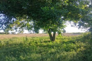 Продажа дома, Черкасская, Виграев, вулиця Шевченка, дом 23