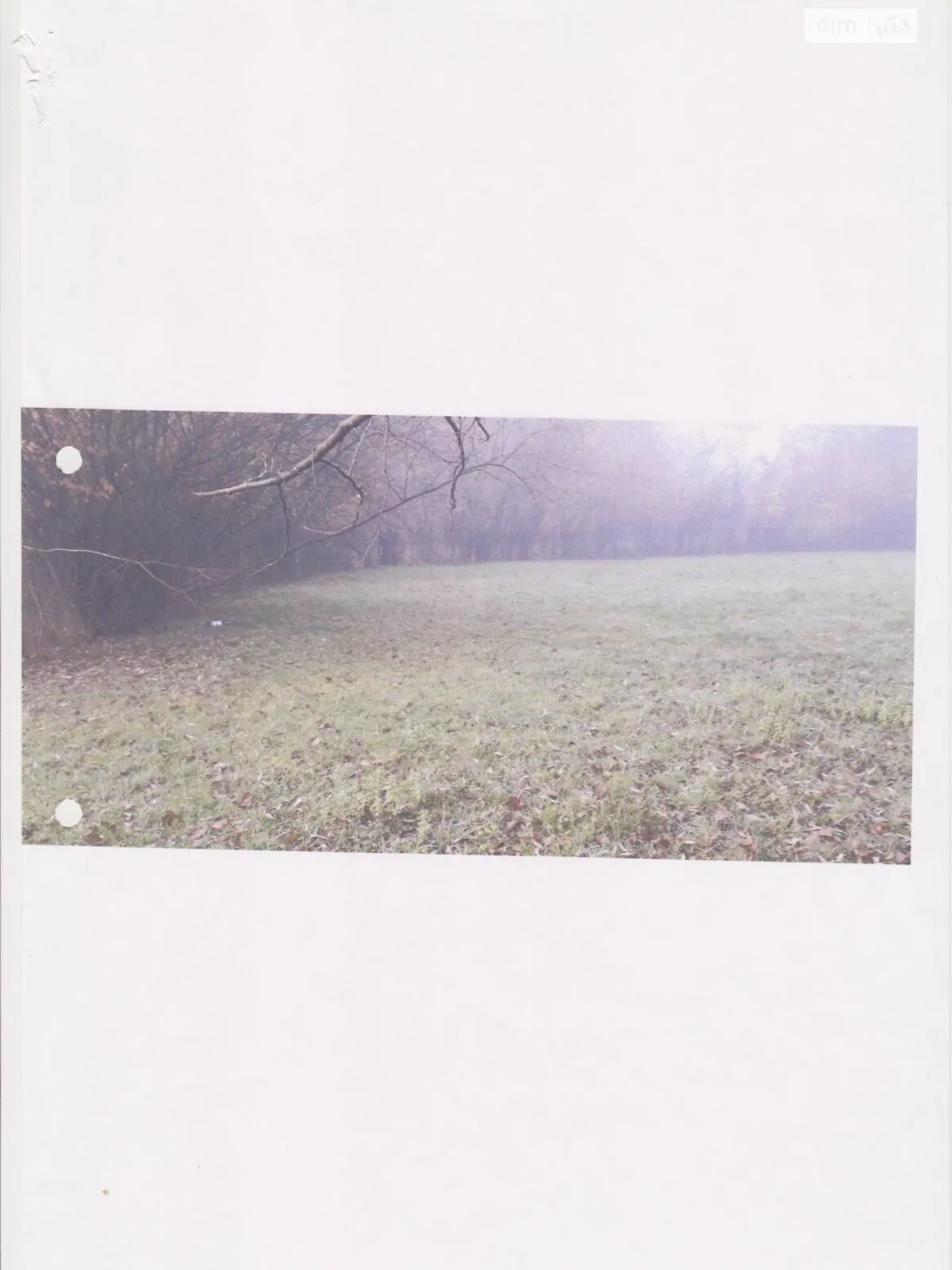 Кривая, цена: 193332 грн - фото 1