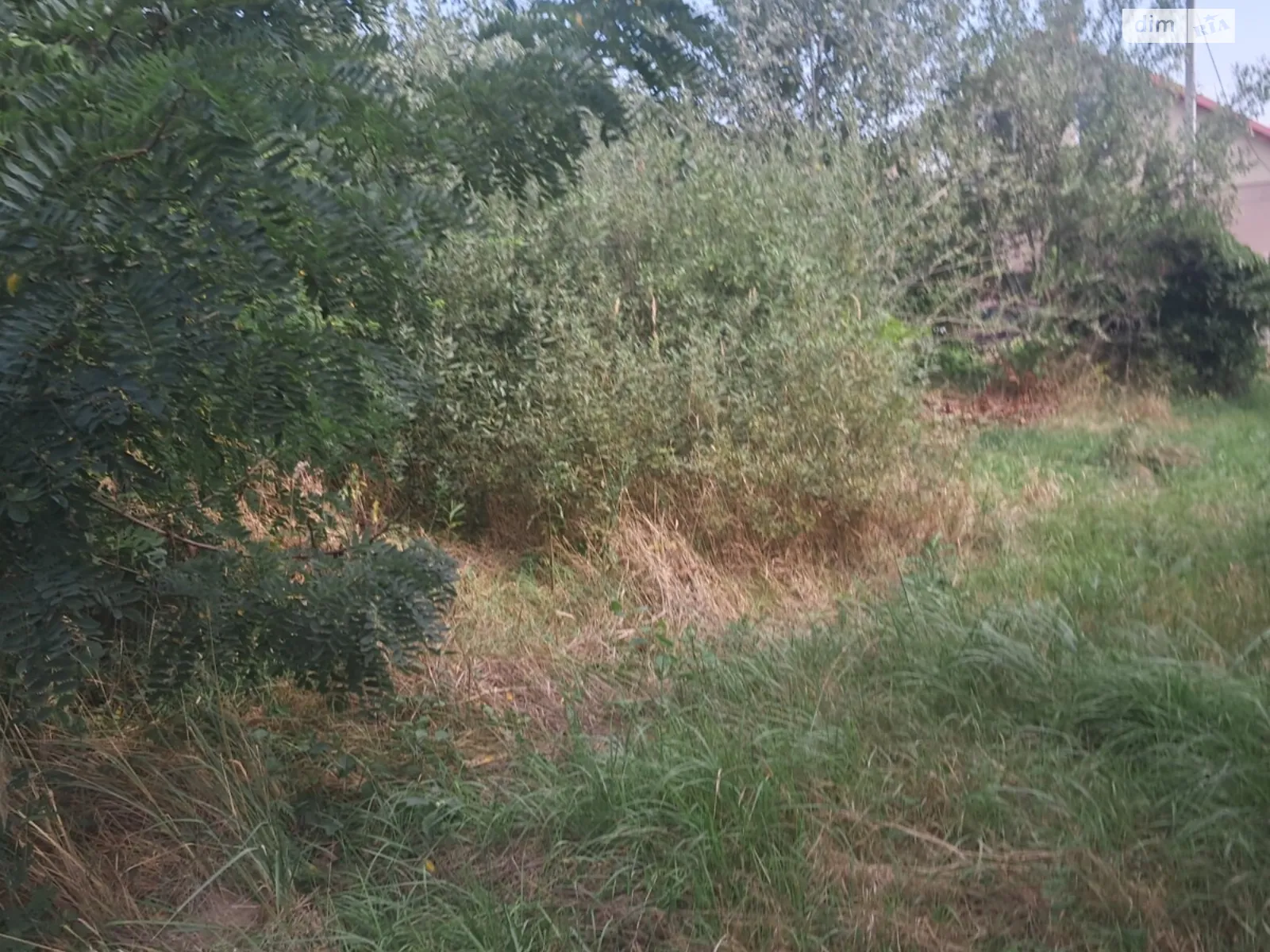 Продается земельный участок 4.8 соток в Закарпатской области, цена: 20000 $ - фото 1