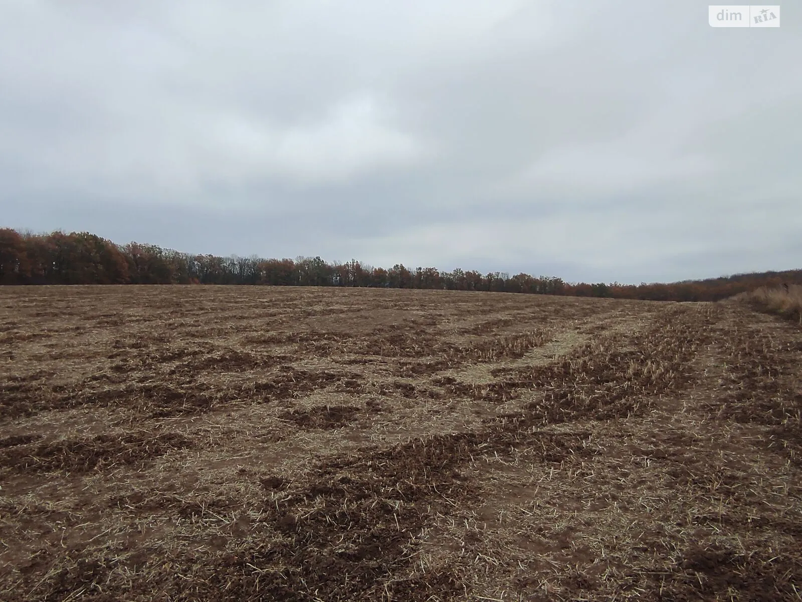 Сдается в аренду земельный участок 6.6 соток в области, цена: 14643 грн - фото 1