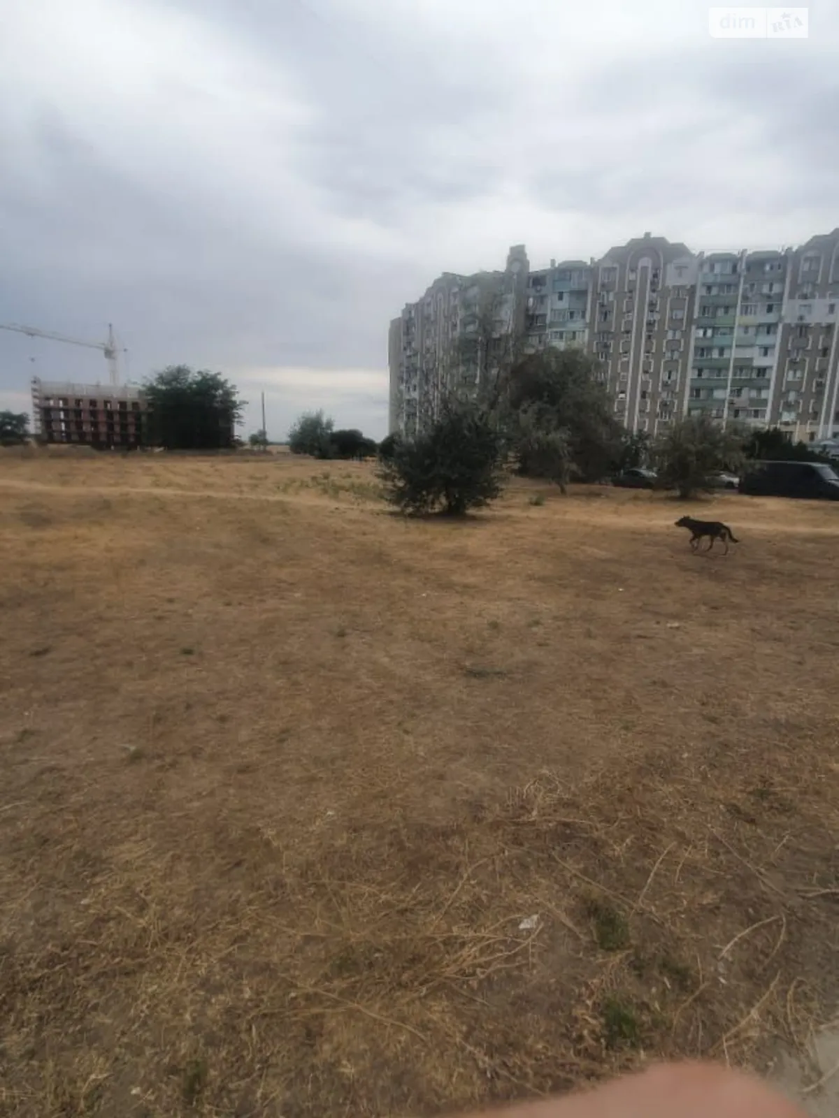 Сдается в аренду земельный участок 0.6906 соток в Одесской области, цена: 1814438 грн - фото 1