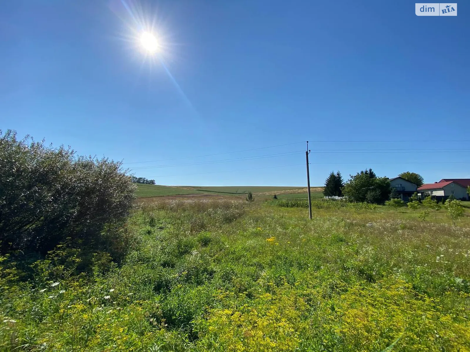 Продается земельный участок 29 соток в Тернопольской области, цена: 18000 $ - фото 1