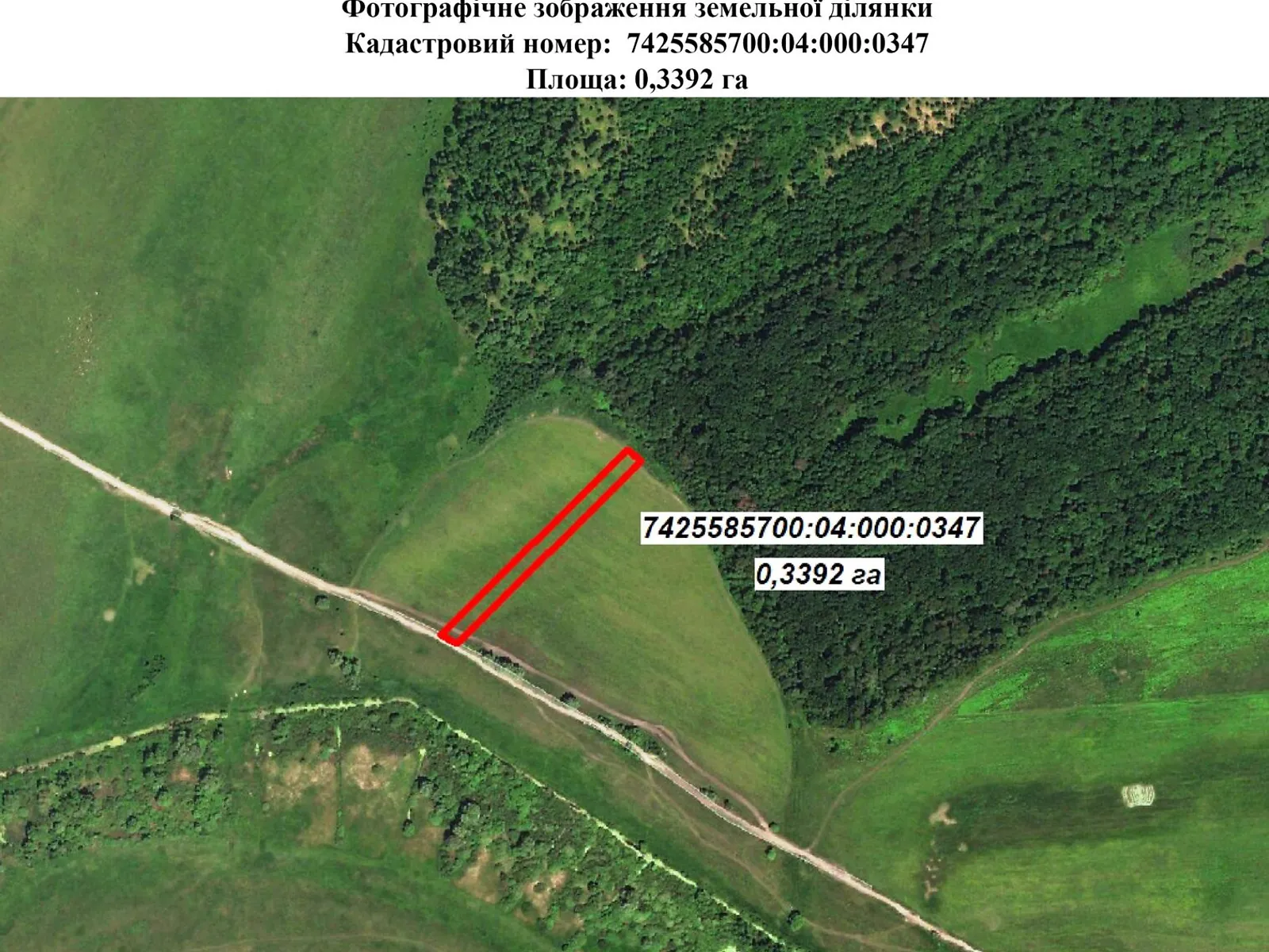 Сдается в аренду земельный участок 0.3392 соток в Черниговской области, цена: 381 грн - фото 1