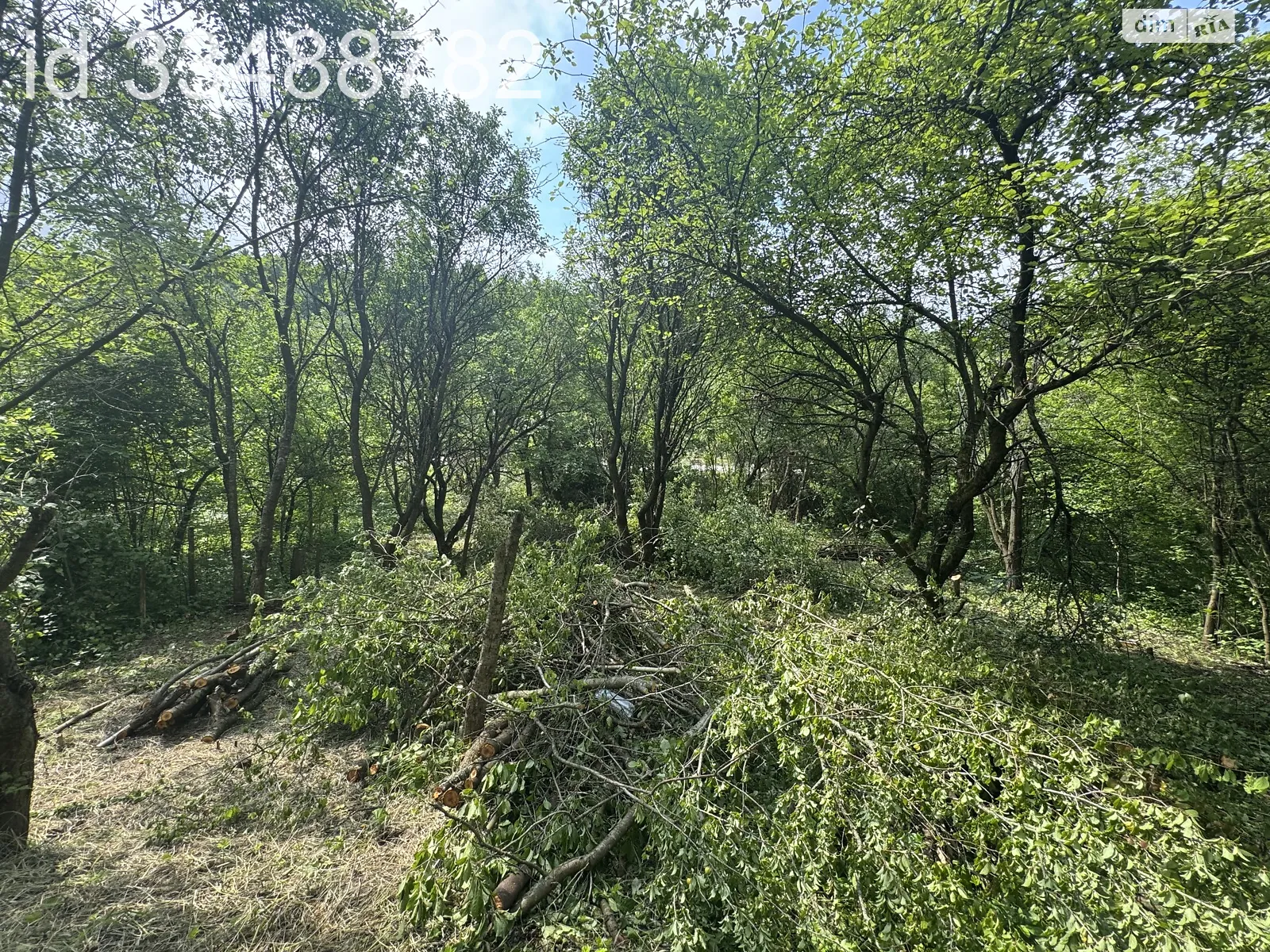 Продается земельный участок 0.0402 соток в Львовской области, цена: 10000 $ - фото 1