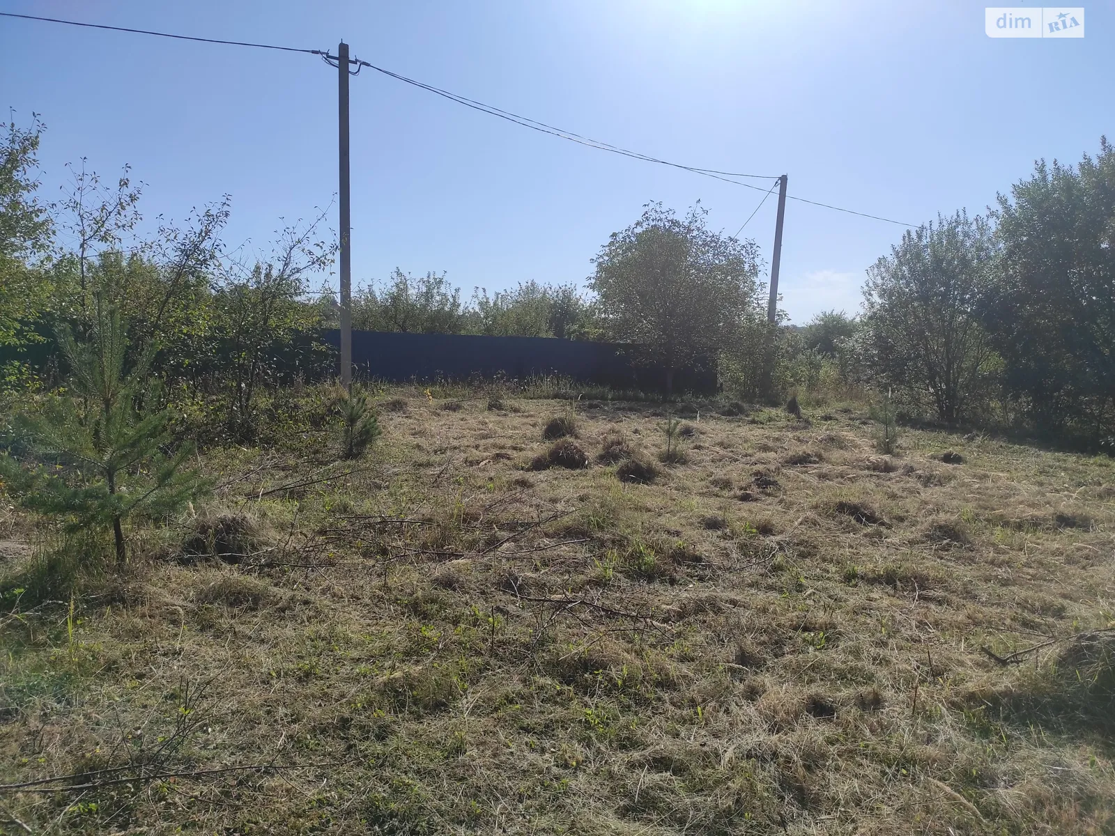 СТ Меркурій Лесовые Гриновцы, цена: 10000 $ - фото 1