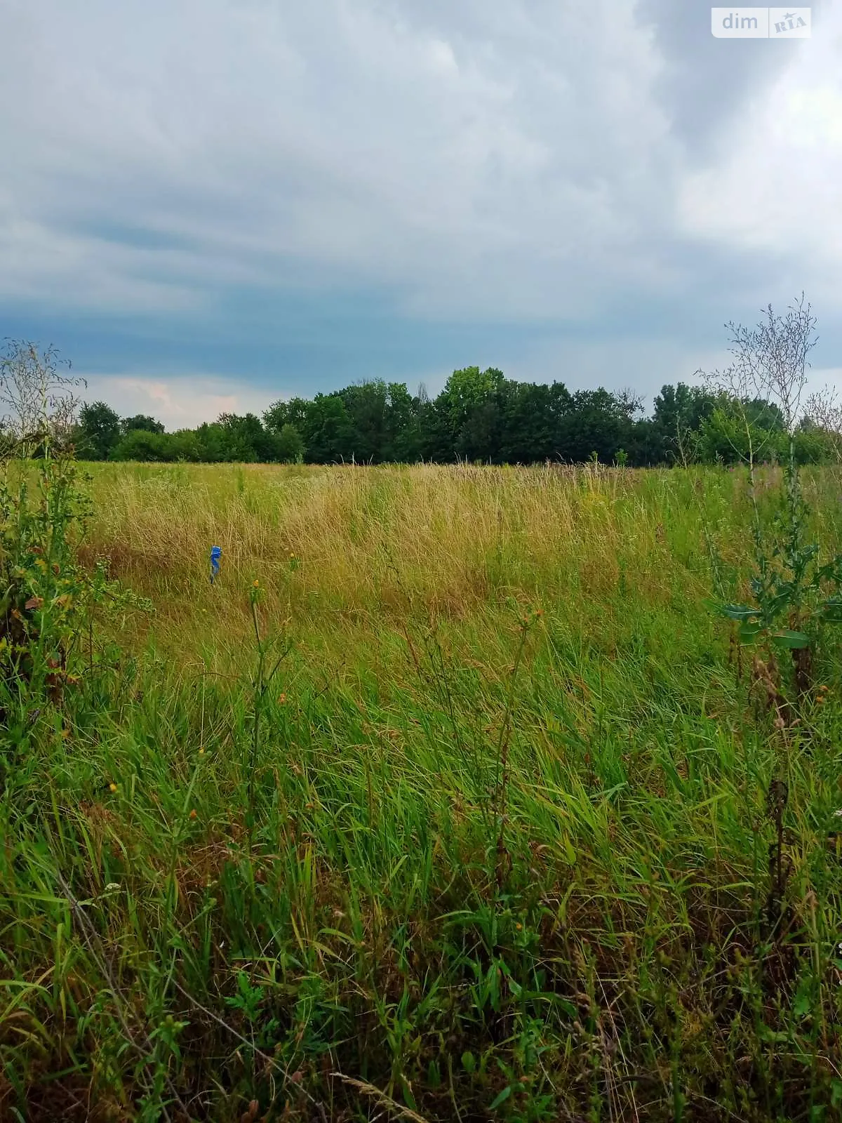 Продается земельный участок 13.13 соток в Винницкой области, цена: 9500 $ - фото 1