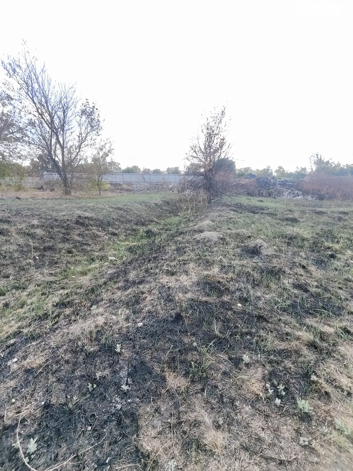 Продается земельный участок 30 соток в Днепропетровской области, цена: 30000 $ - фото 1
