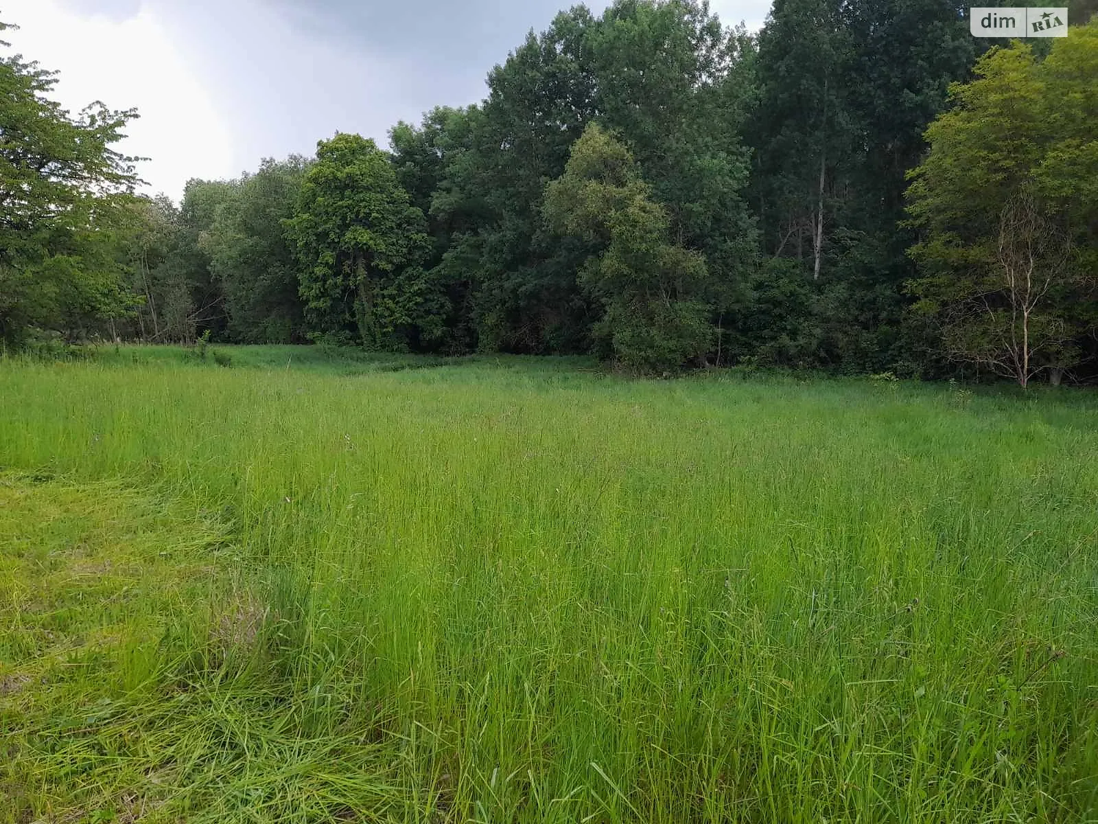 Продается земельный участок 52 соток в Винницкой области, цена: 29000 $ - фото 1