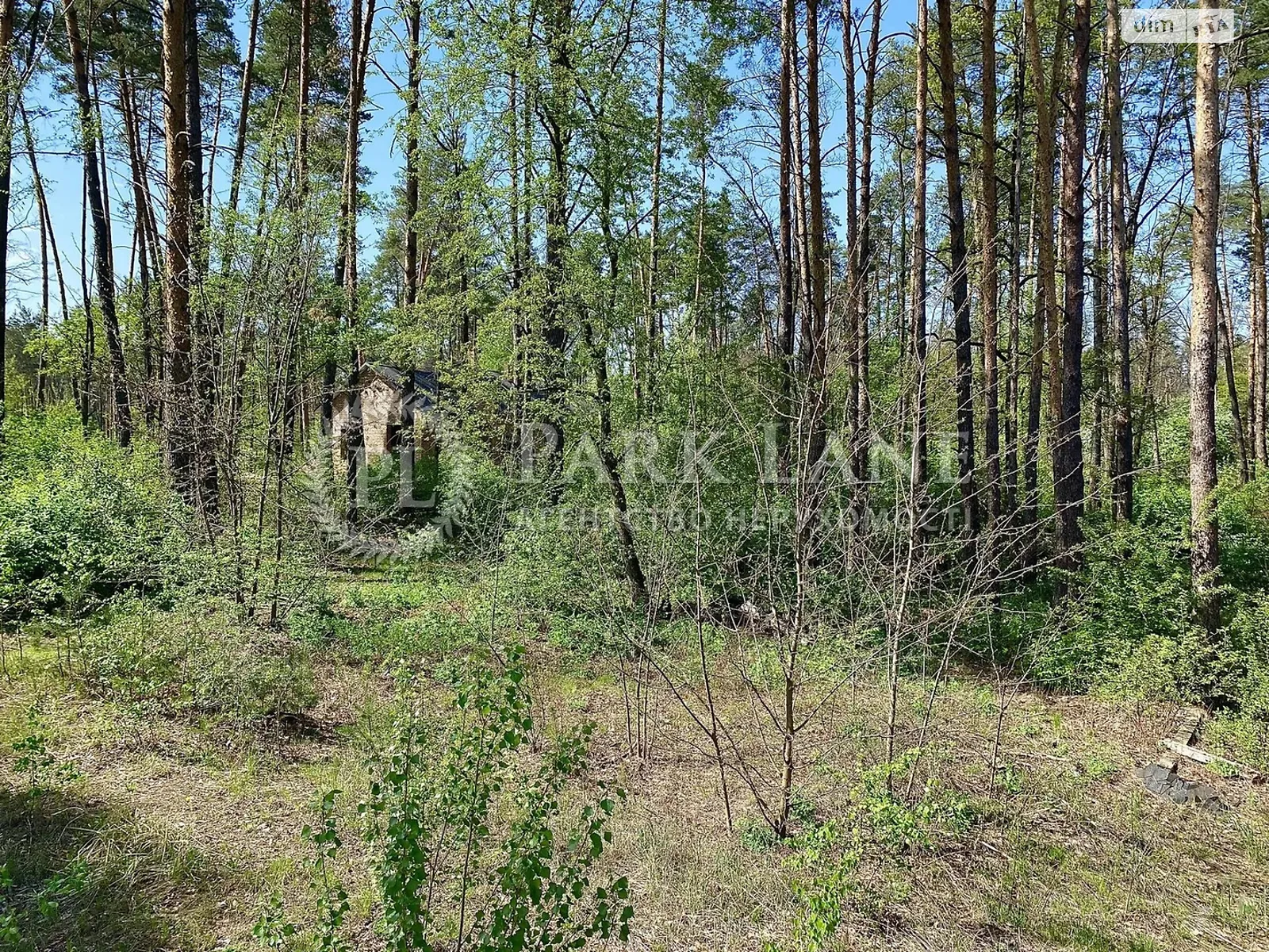 Продается земельный участок 25 соток в Киевской области, цена: 262000 $ - фото 1