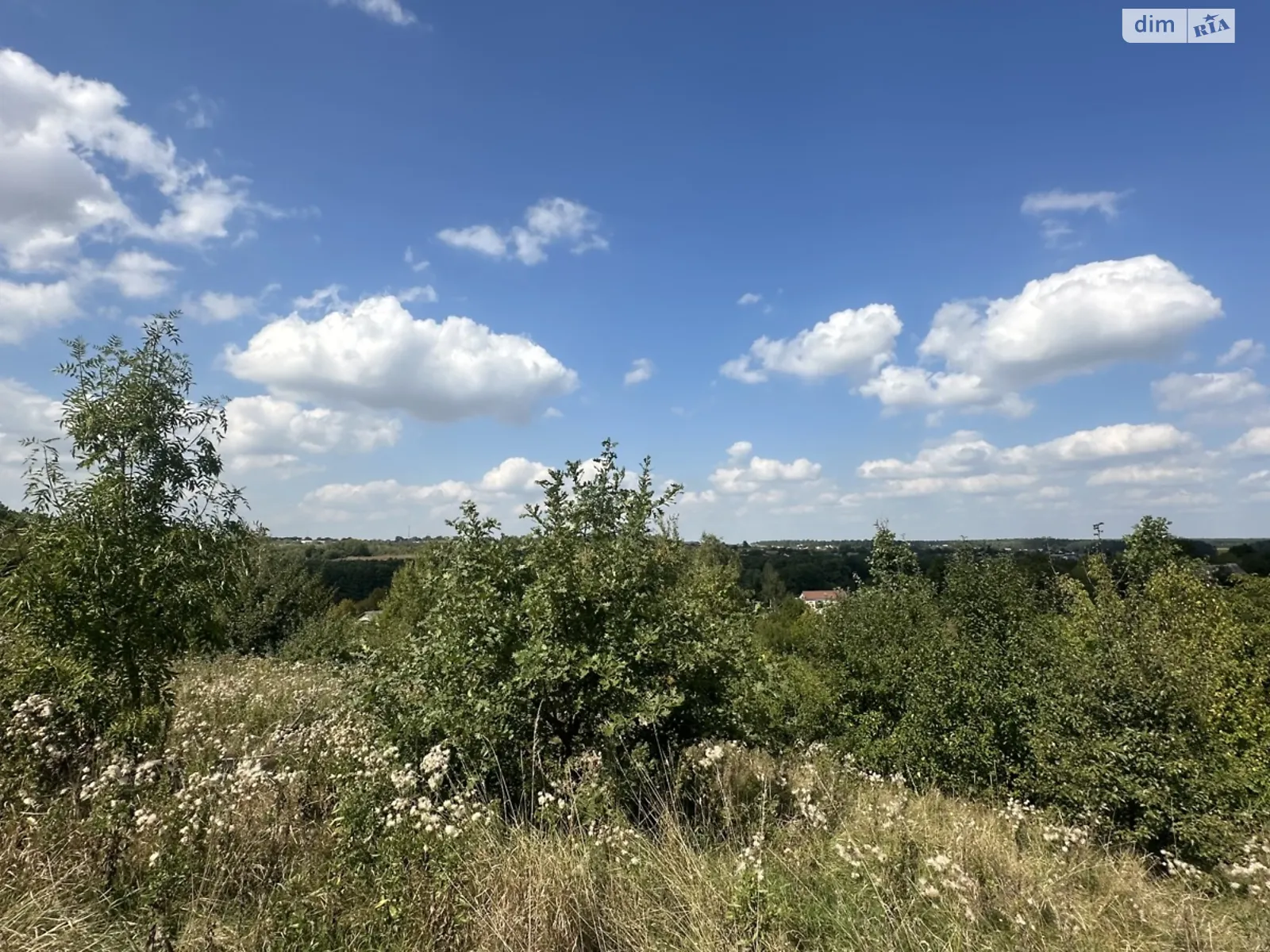 Продается земельный участок 20 соток в Винницкой области, цена: 10000 $ - фото 1