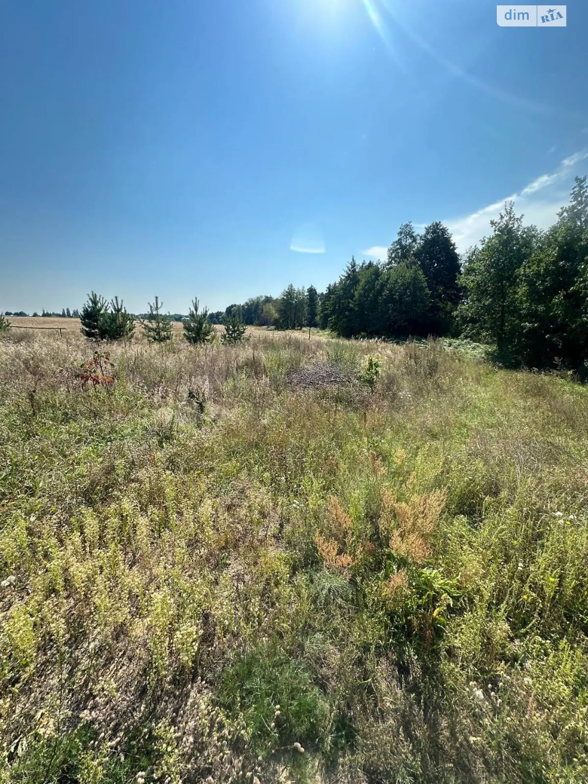 Продается земельный участок 10 соток в Киевской области, цена: 17000 $ - фото 1