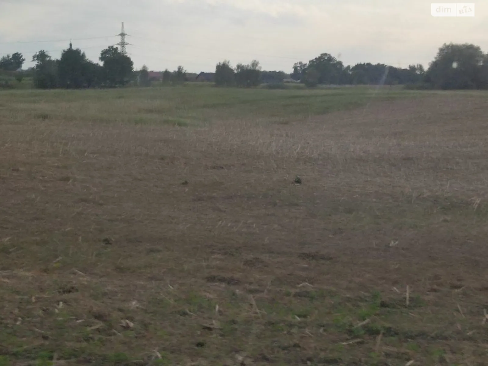 Новый Мартынов, цена: 14046 грн - фото 1