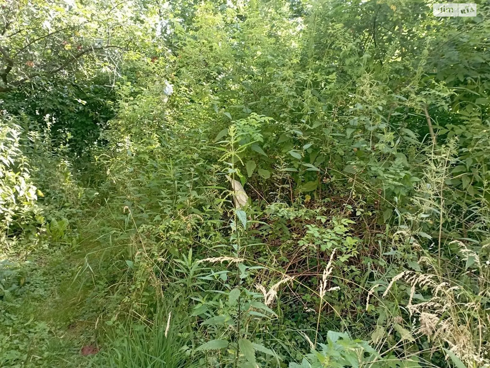 Сдается в аренду земельный участок 0.13 соток в Львовской области, цена: 56845 грн - фото 1