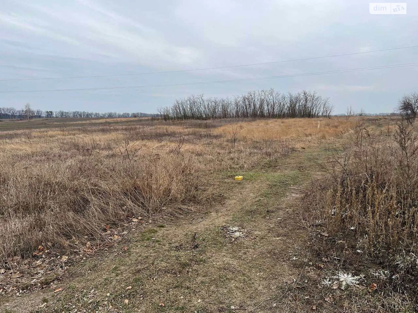 Шевченка Софиевка (Черкассы), цена: 6500 $ - фото 1