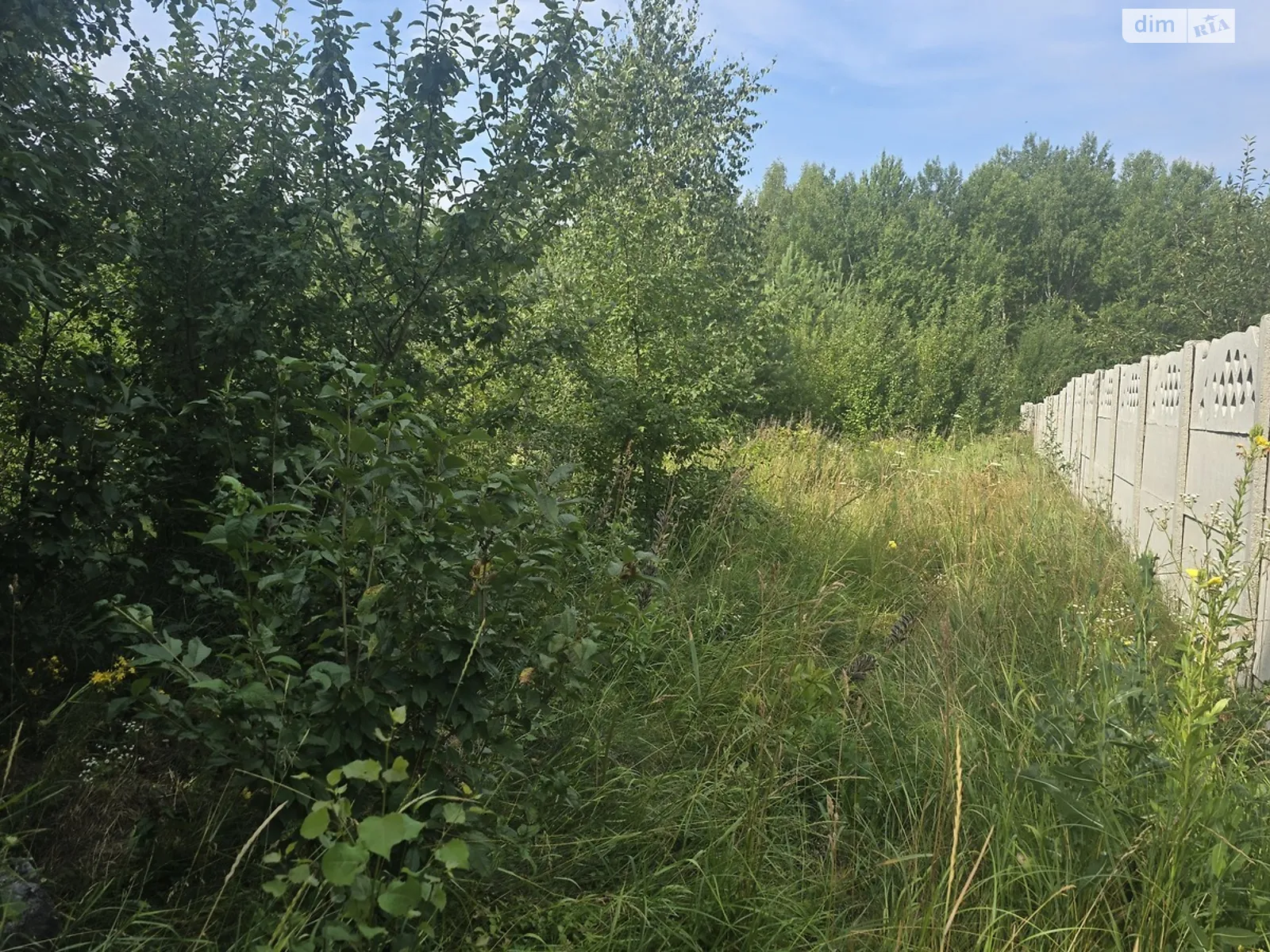 Ивановка (Житомир), цена: 11500 $ - фото 1