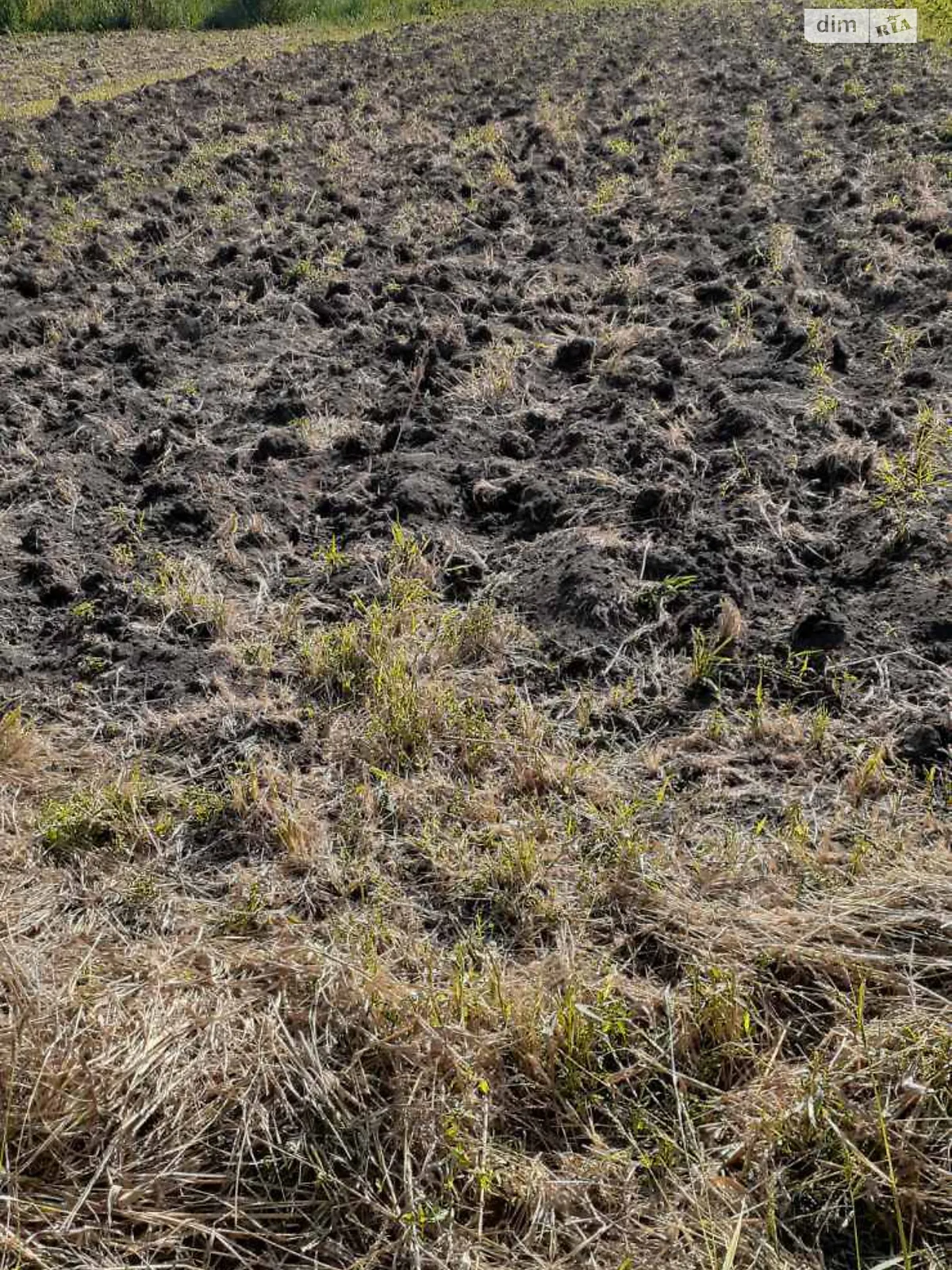 Зелений Бір, цена: 20000 $ - фото 1