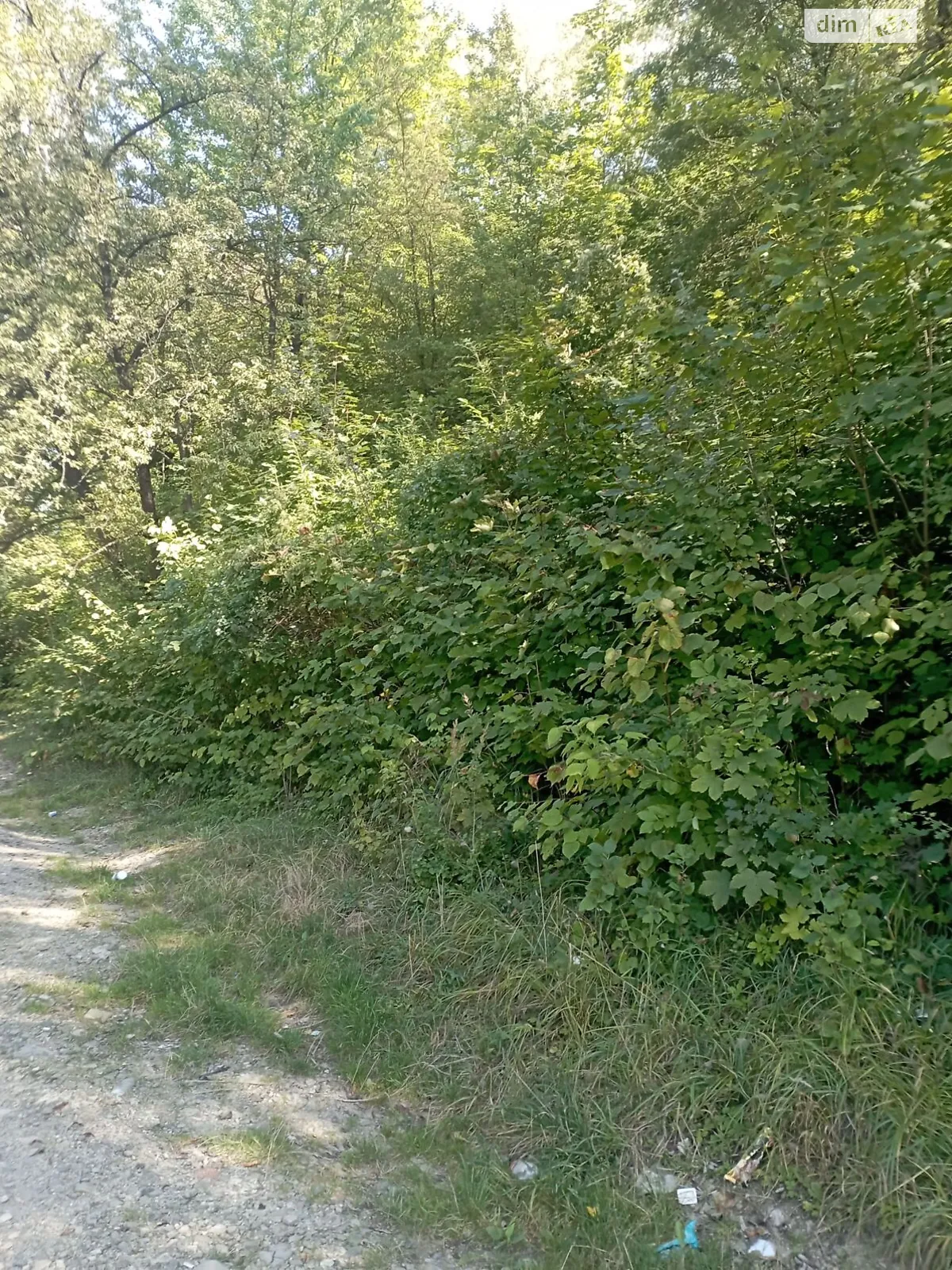 Борислав, цена: 31219 грн - фото 1