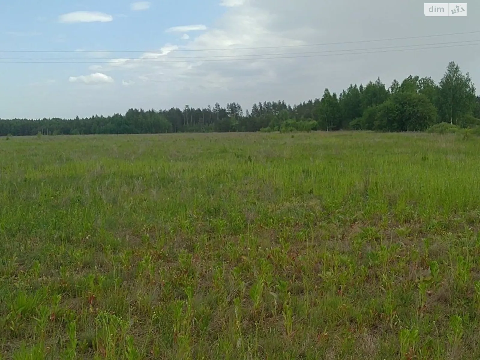 Сдается в аренду земельный участок 10.0278 соток в  области, цена: 15517 грн - фото 1