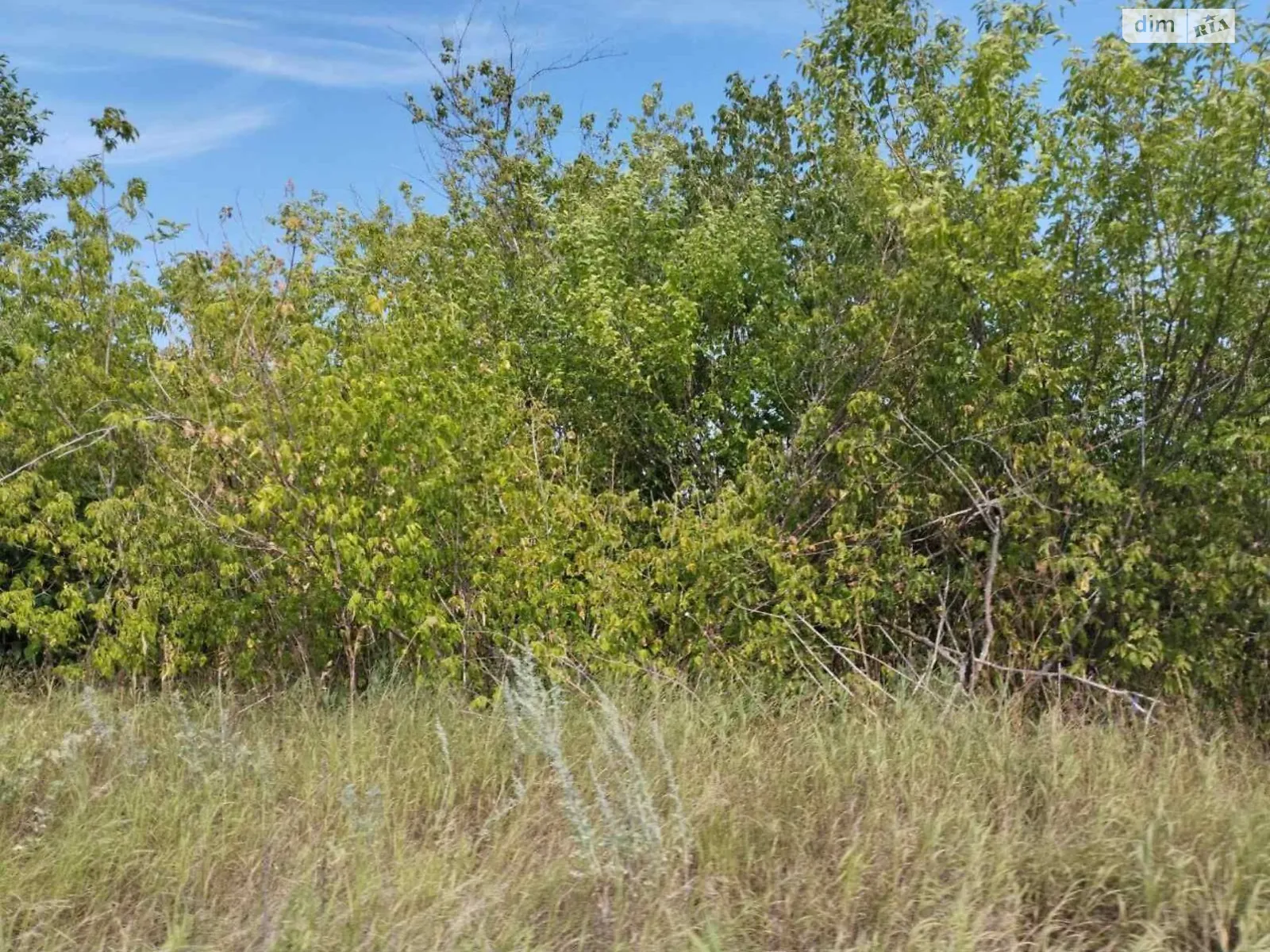 Сдается в аренду земельный участок 1.6323 соток в Кировоградской области, цена: 7414 грн - фото 1