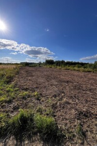 Продажа земли сельскохозяйственного назначения, Ивано-Франковская, Клузов, урочище Убереж