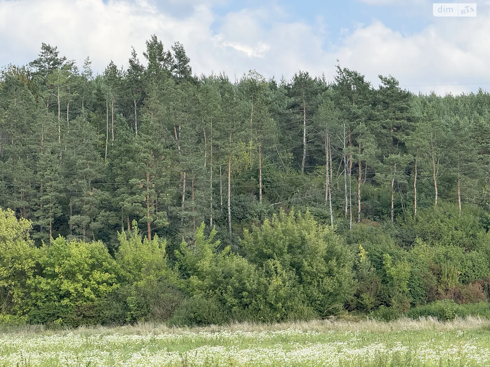 Продается земельный участок 2 соток в Тернопольской области, цена: 120000 $ - фото 1