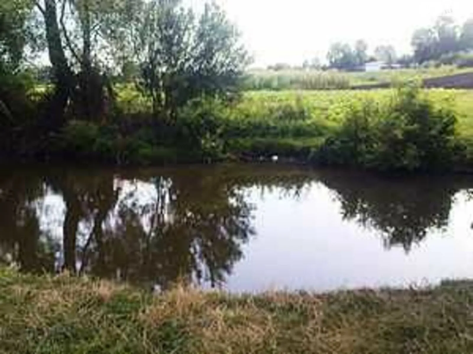 Продается земельный участок 31.47 соток в Хмельницкой области, цена: 2500 $ - фото 1