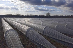 Продаж землі сільськогосподарського призначення, Київська, Грузьке