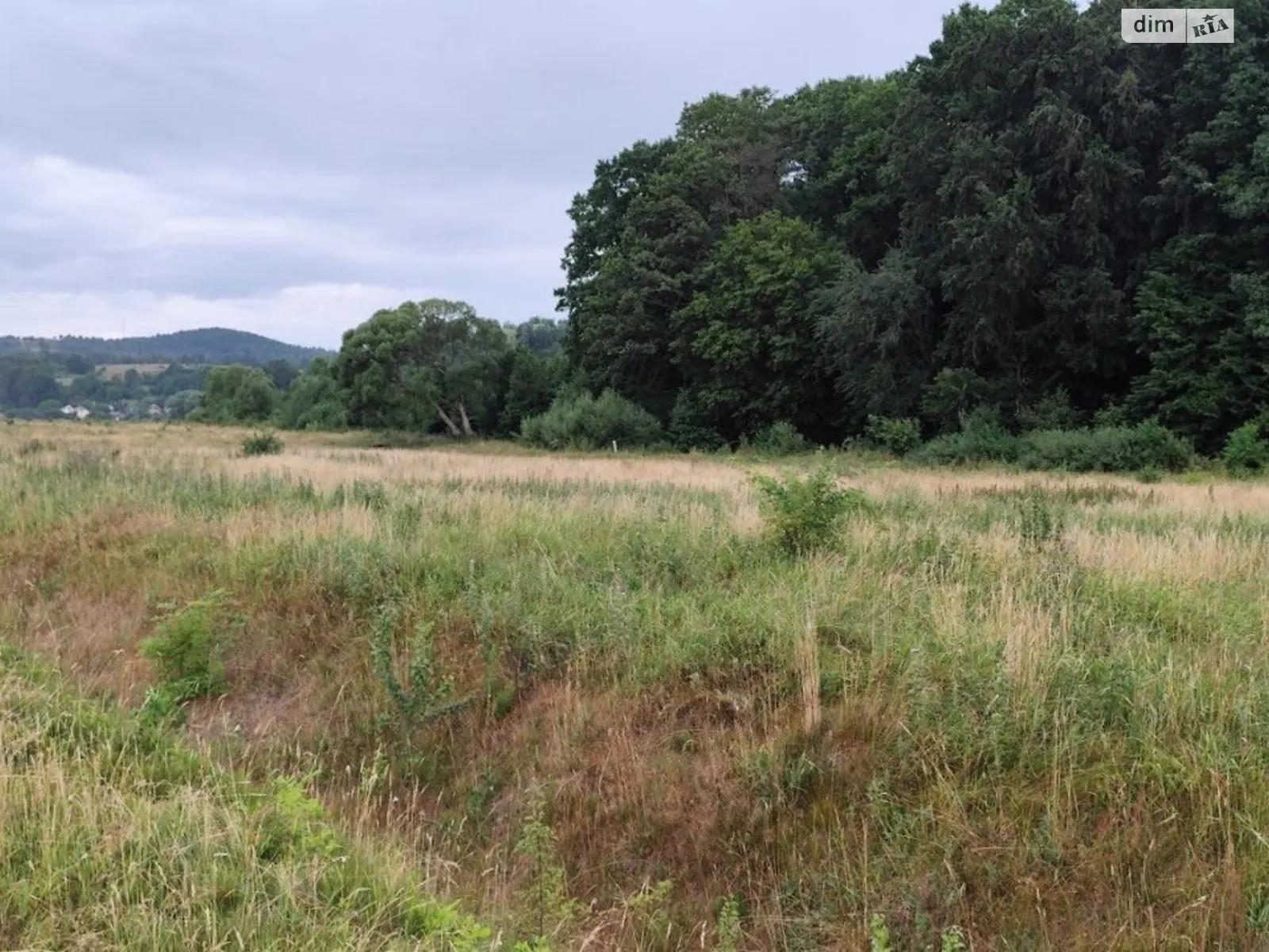 Сдается в аренду земельный участок 18 соток в Ивано-Франковской области, цена: 34455 грн - фото 1