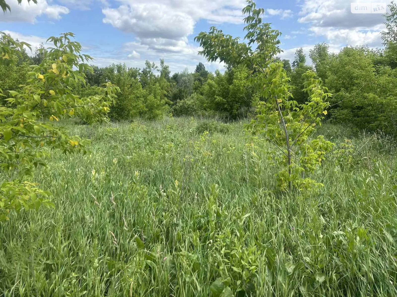 Продается земельный участок 25 соток в Хмельницкой области, цена: 3100 $ - фото 1