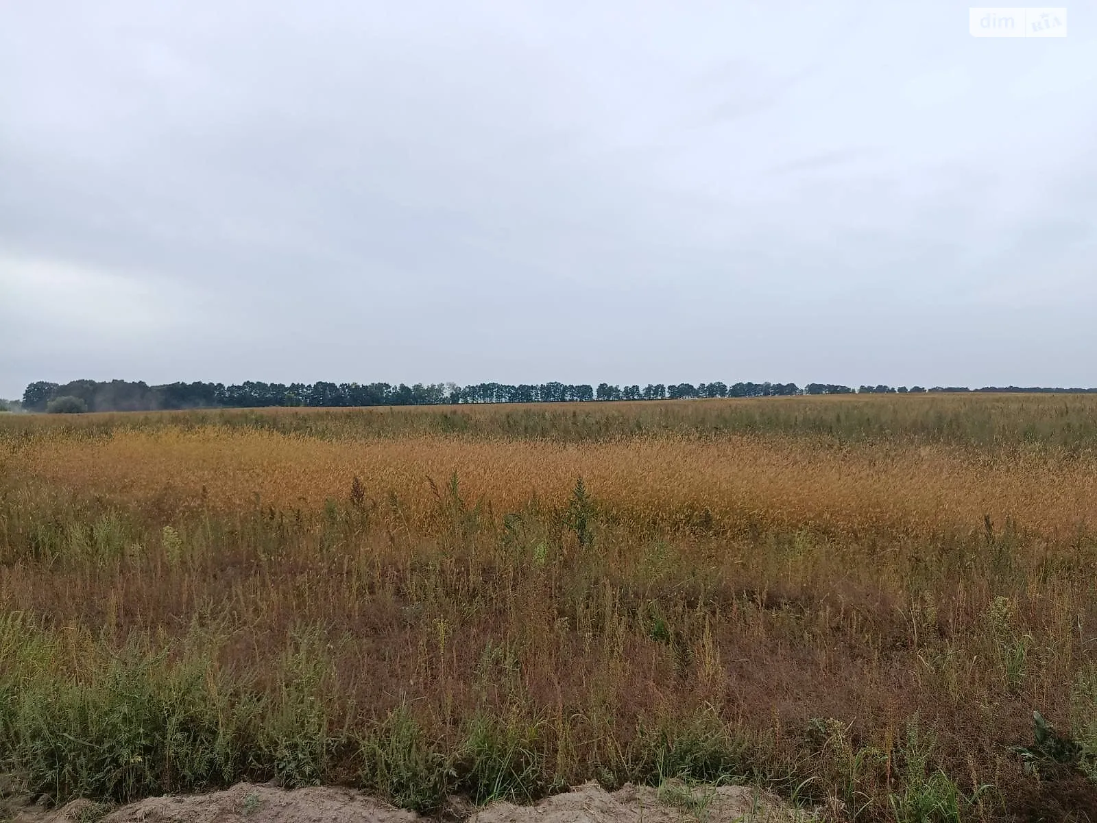 Здається в оренду земельна ділянка 13.5433 соток у Вінницькій області, цена: 19862 грн - фото 1