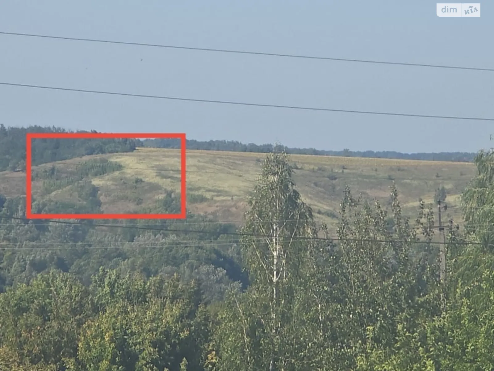 Погребы (Васильков), цена: 720 $ - фото 1