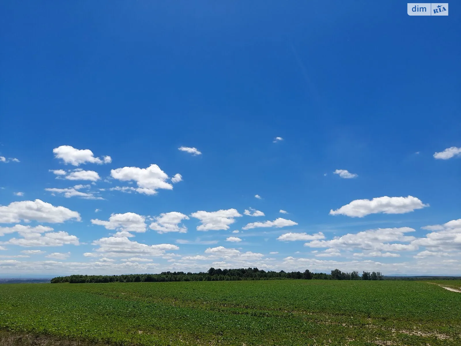 Здається в оренду земельна ділянка 1.411 соток у Івано-Франківській області, цена: 171 грн - фото 1