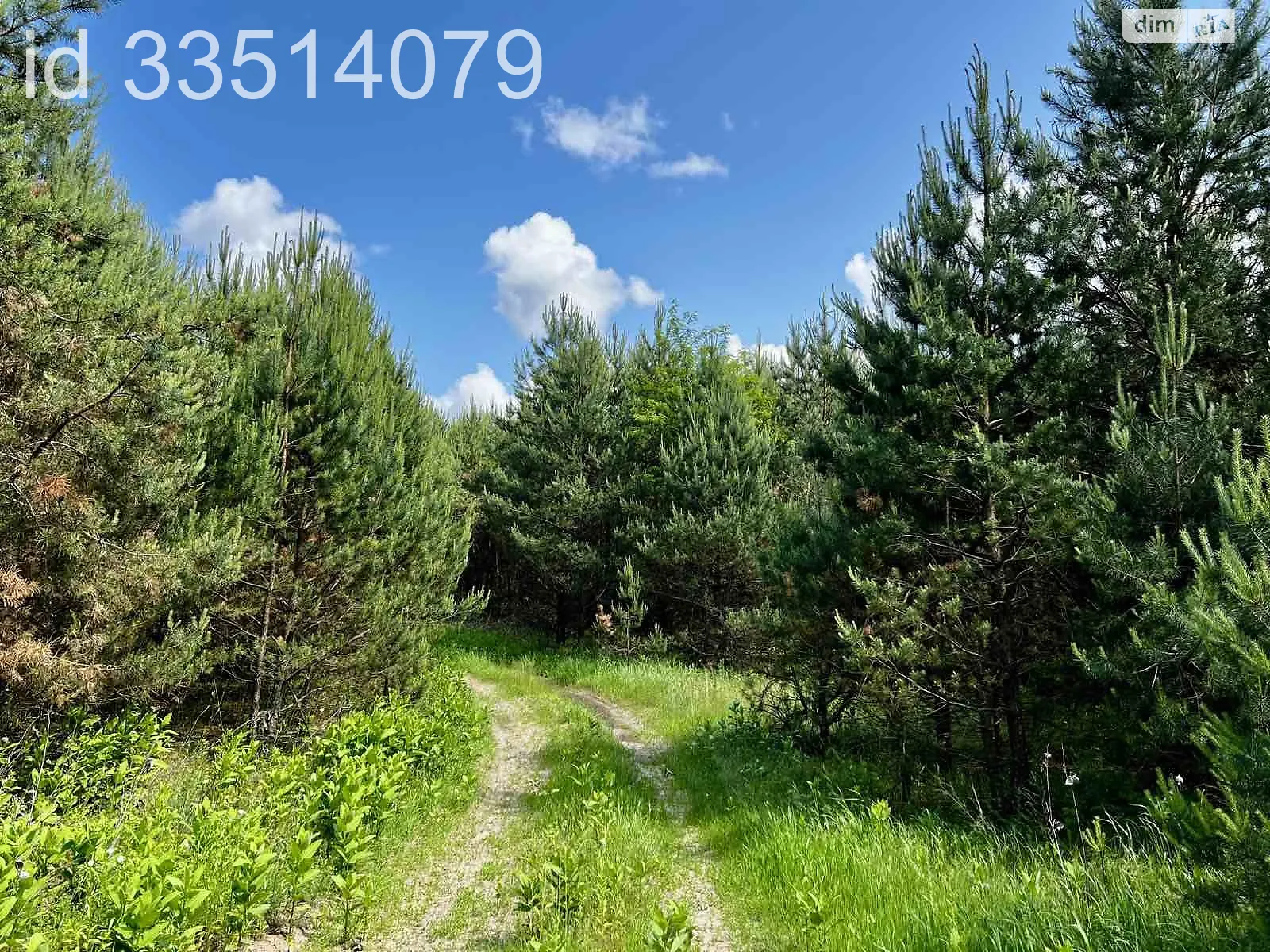 Зелёный Дуб, цена: 175000 $ - фото 1