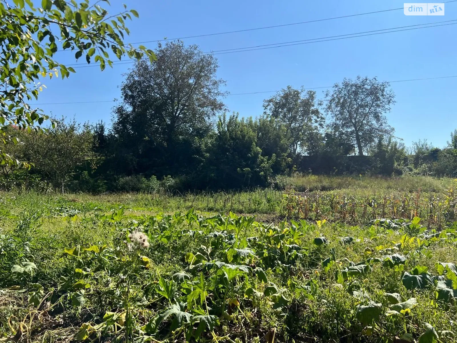 Сдается в аренду земельный участок 0.1 соток в Винницкой области, цена: 17472 грн - фото 1