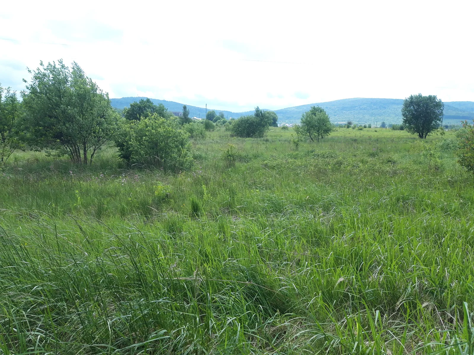 ул. Кулиша Борислав, цена: 3600 $ - фото 1