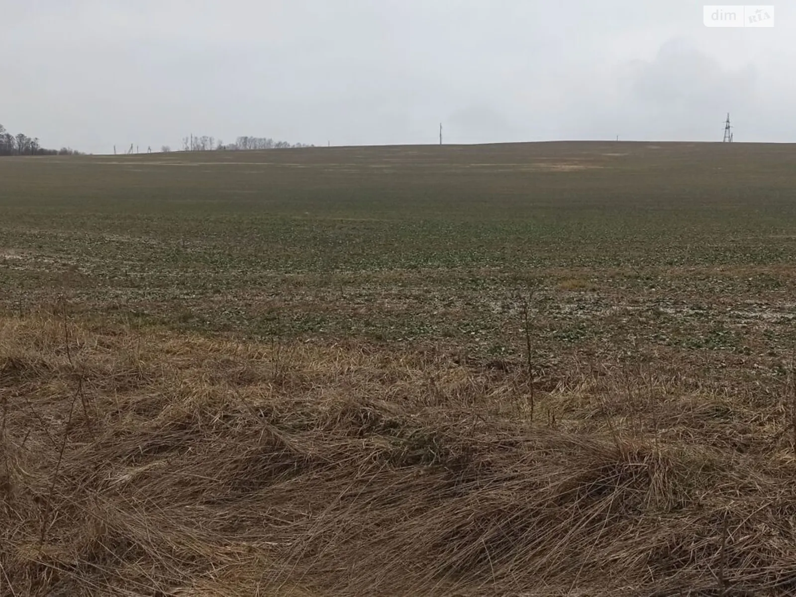 Сдается в аренду земельный участок 2 соток в Винницкой области, цена: 4398 грн - фото 1