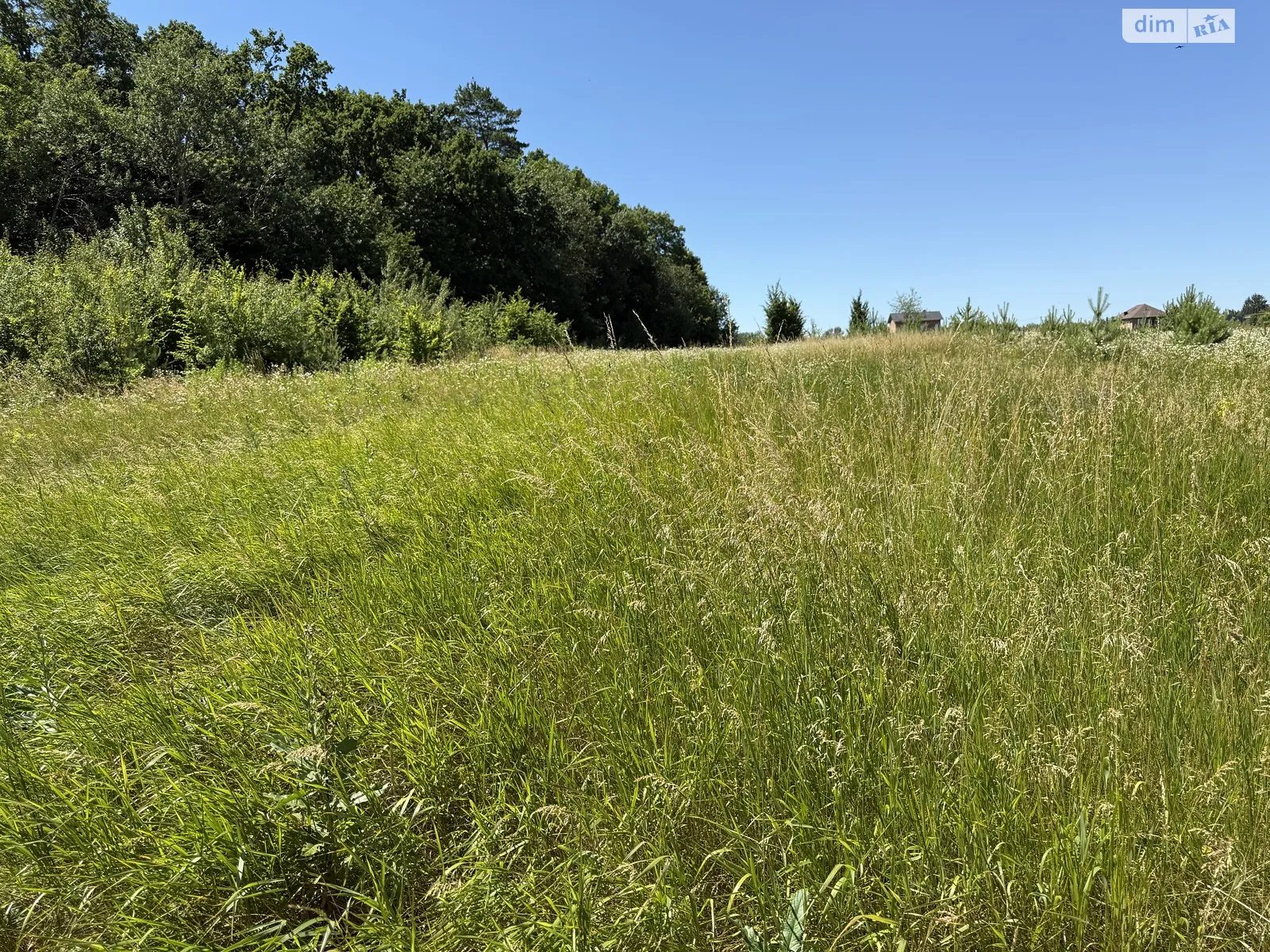 Продается земельный участок 10 соток в Винницкой области, цена: 24999 $ - фото 1