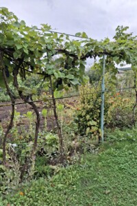 Участки под строительство в Тернопольской области Купить землю под застройку в Тернопольской области