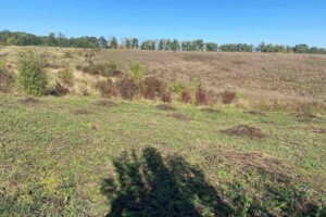 Продажа земли сельскохозяйственного назначения, Тернопольская, Чистилов