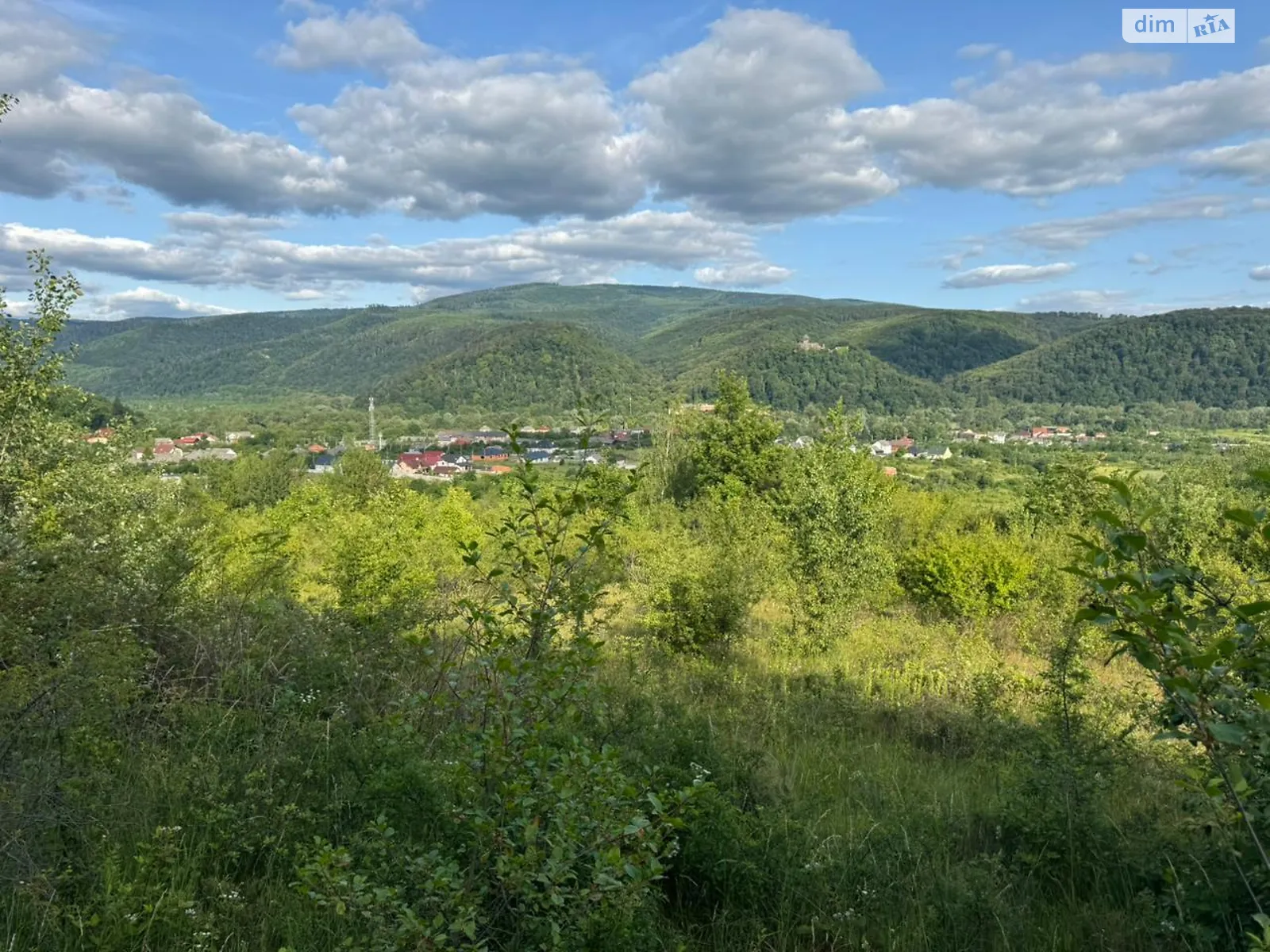 Продается земельный участок 18 соток в Закарпатской области, цена: 50000 $ - фото 1