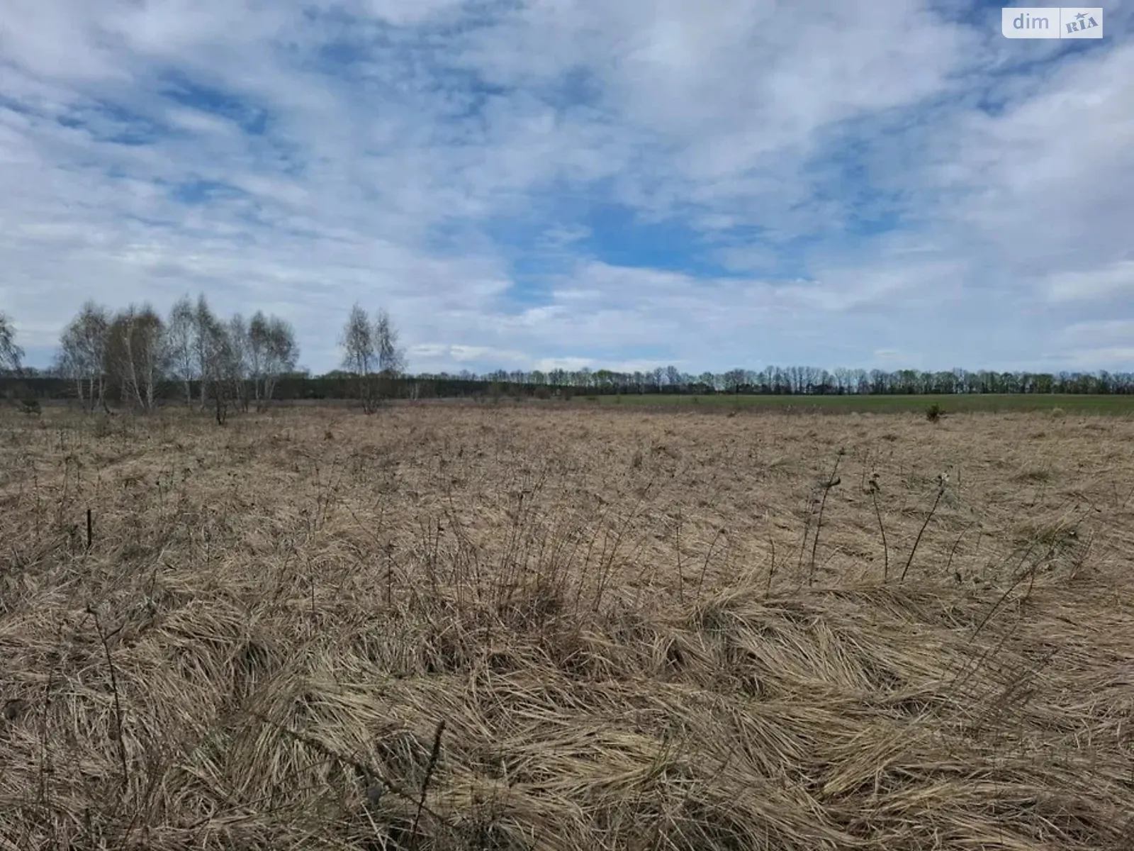 Продается земельный участок 20 соток в Киевской области, цена: 26000 $ - фото 1