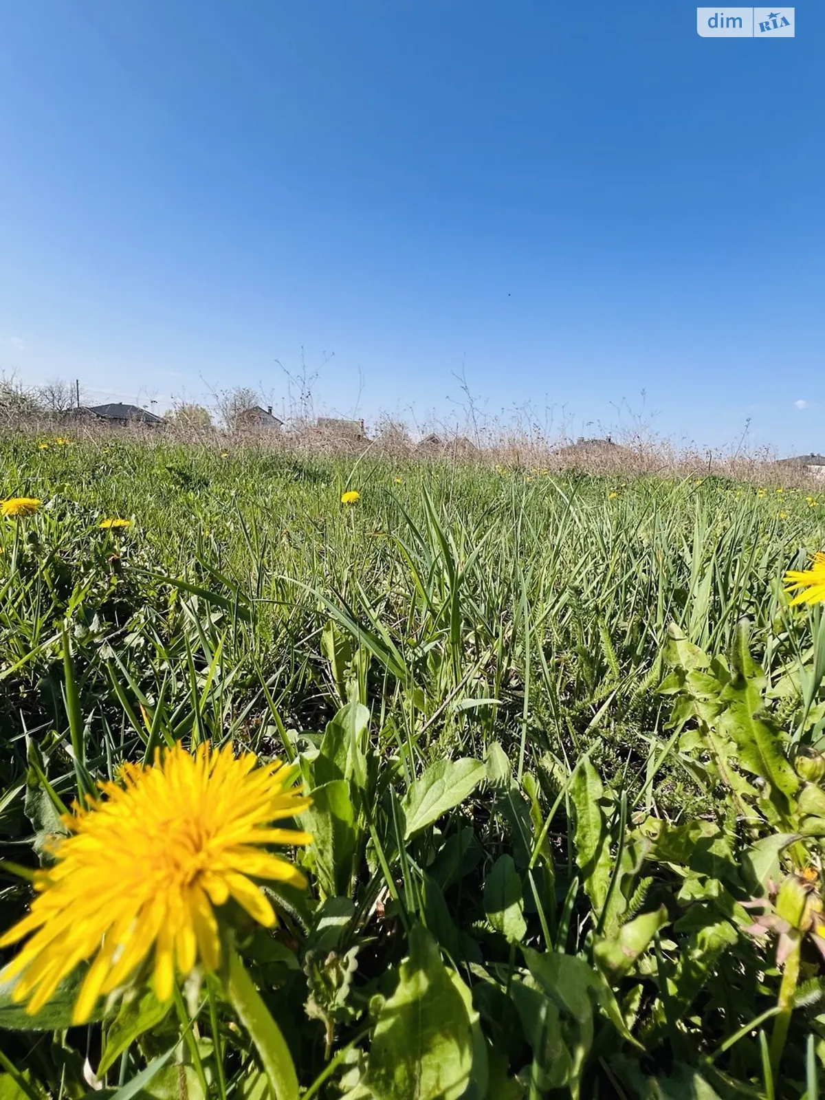 Продається земельна ділянка 8 соток у Вінницькій області, цена: 10000 $ - фото 1