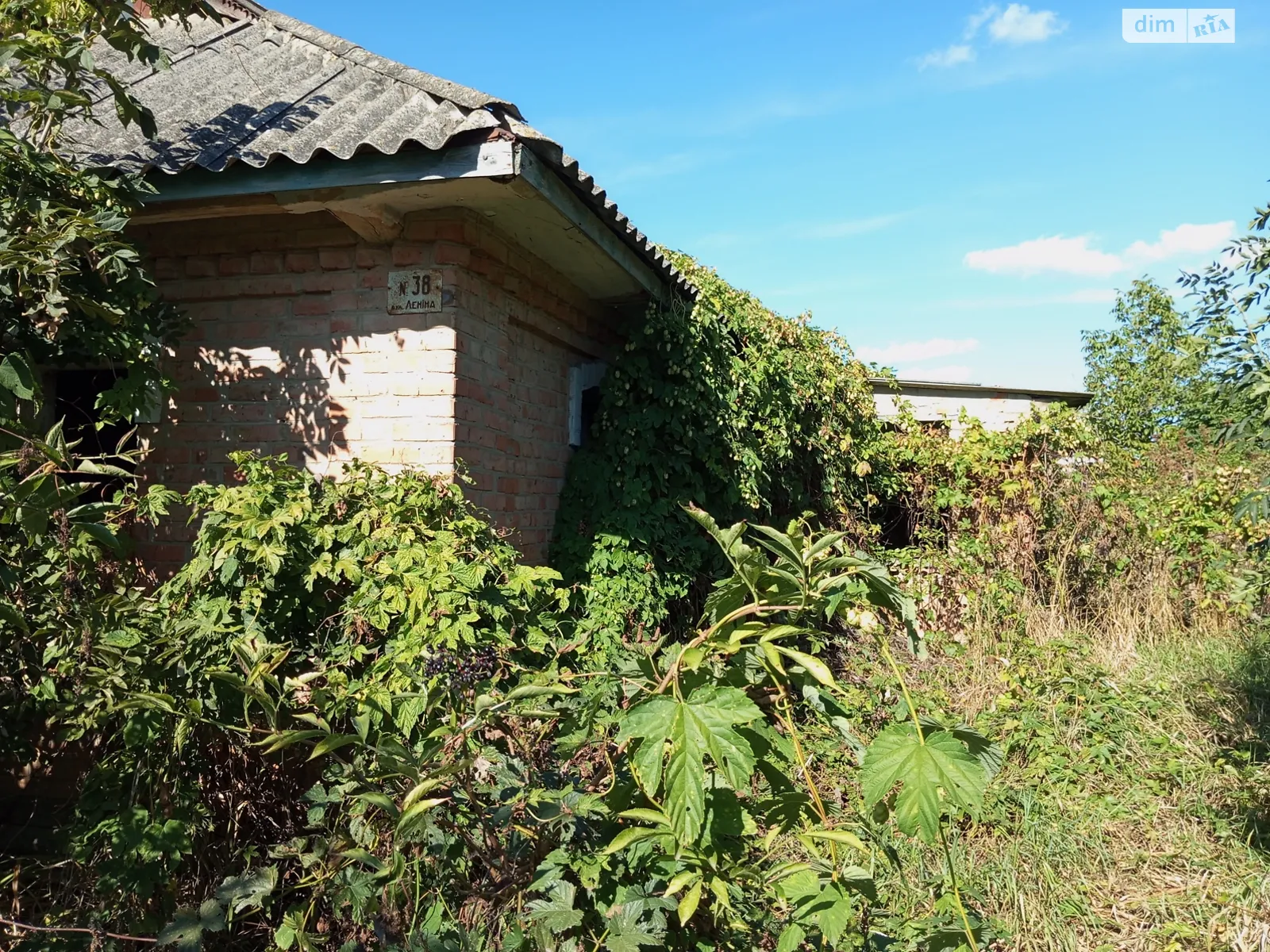 Продается земельный участок 24 соток в Винницкой области, цена: 9500 $ - фото 1