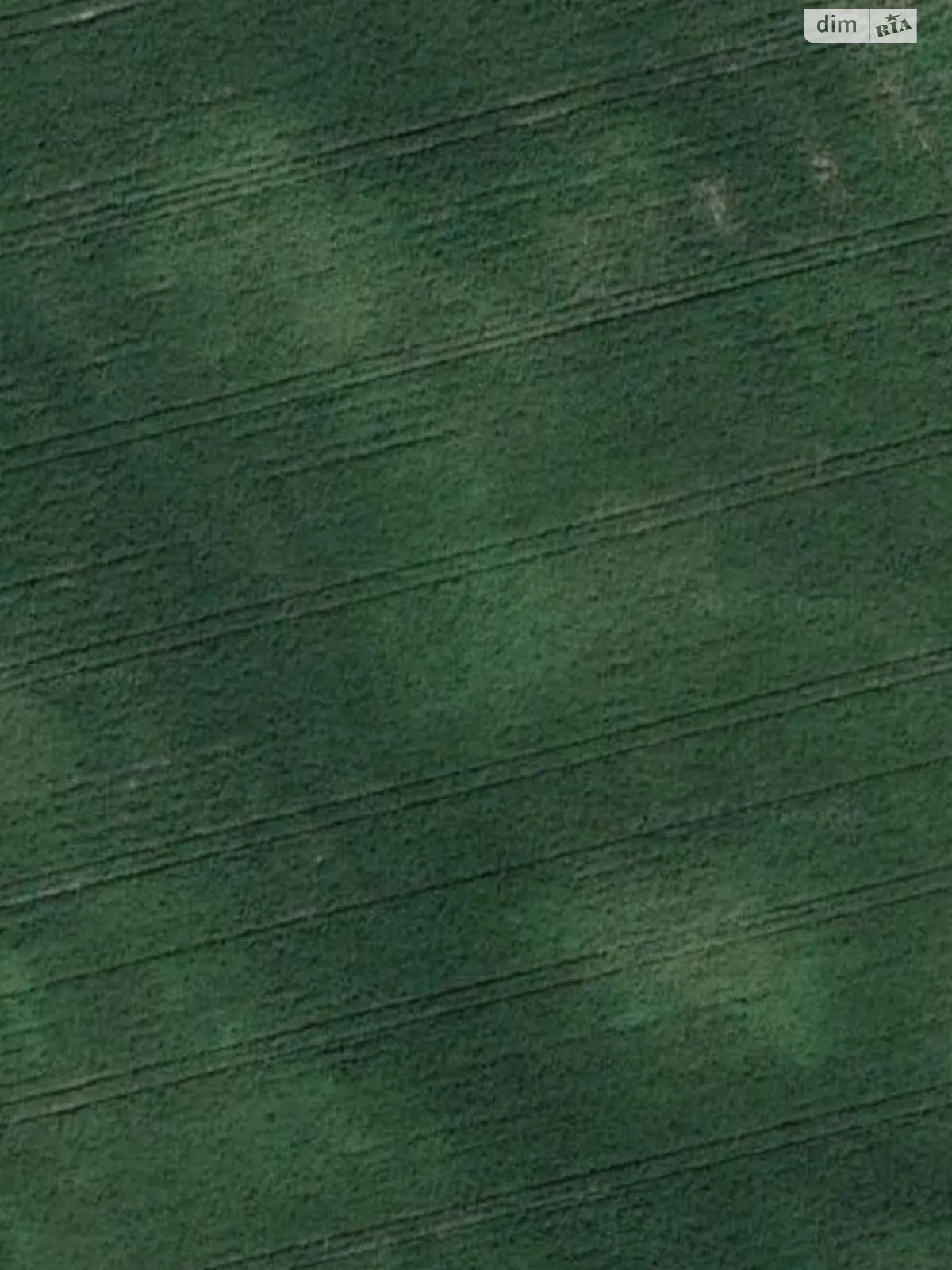 Дядьковичи, цена: 77000 грн - фото 1