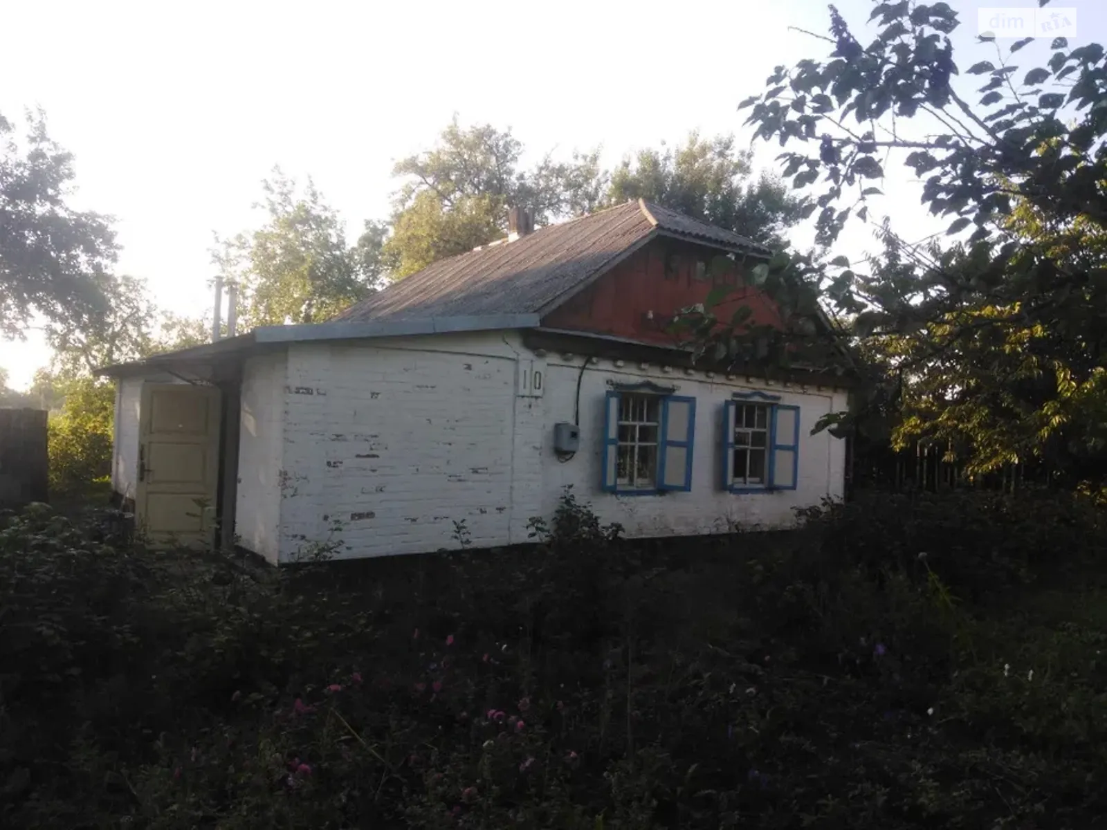 Продается одноэтажный дом 50 кв. м с подвалом, цена: 12000 $ - фото 1