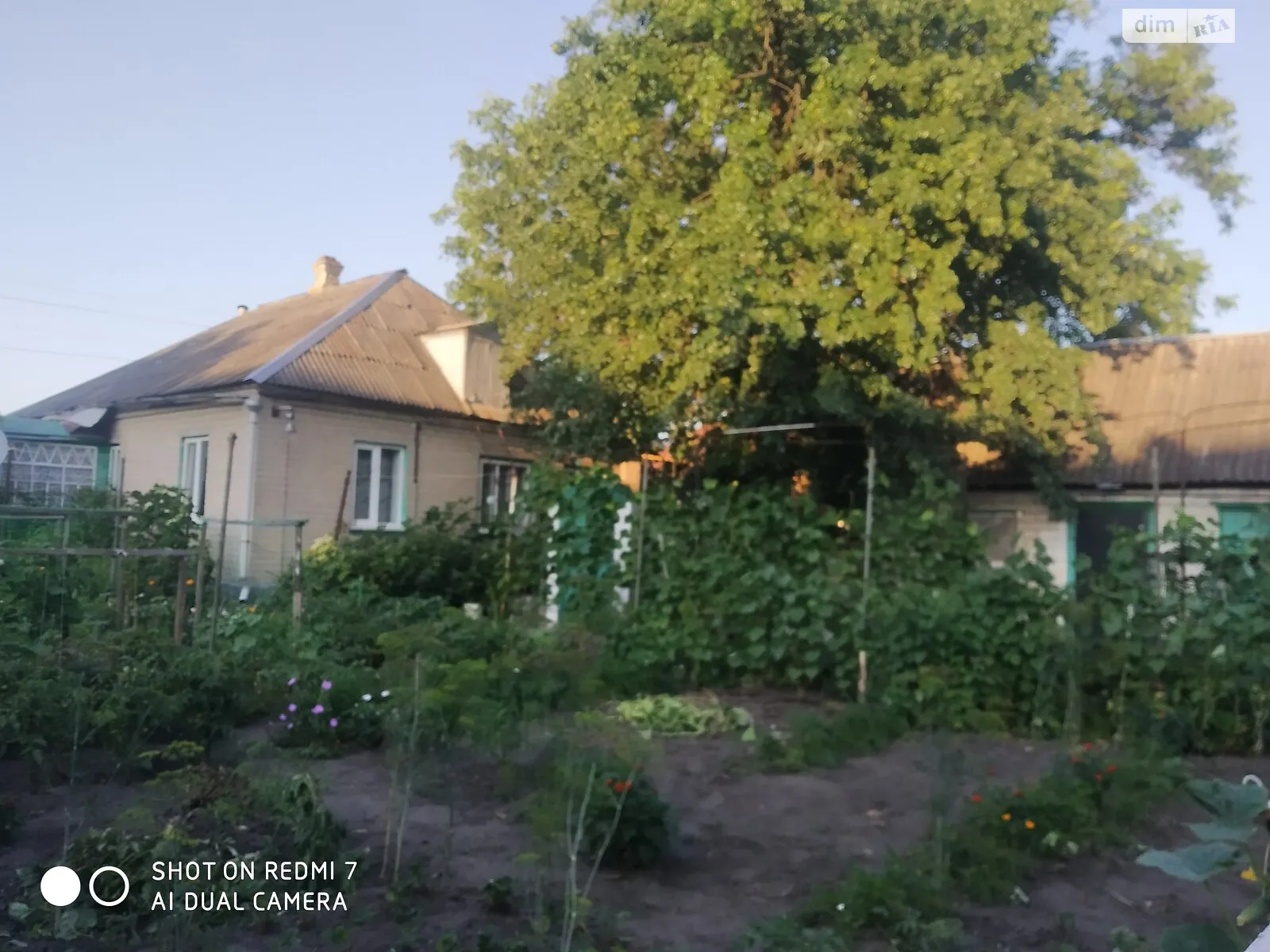 ул. Приветливая(Толстого), 20 Павлоград, цена: 26000 $ - фото 1