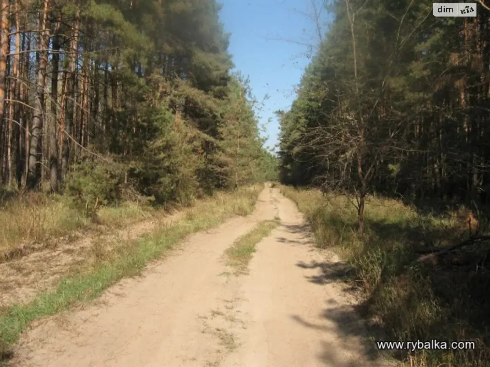 Продается одноэтажный дом 50 кв. м с подвалом, цена: 8000 $ - фото 1