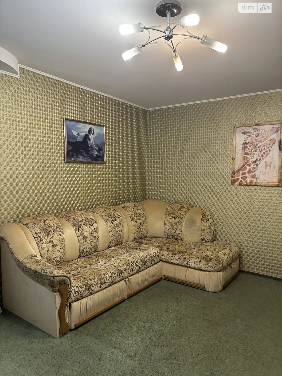 Здається в оренду 1-кімнатна квартира 57 кв. м у Хмельницькому, вул. Панаса Мирного, 35/2 - фото 1